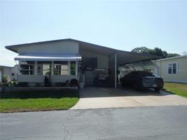81 HICKORY BRANCH