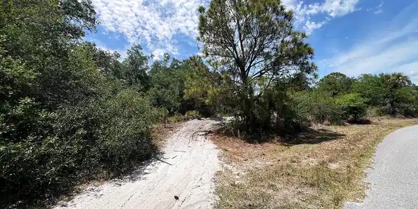 Image 4 Image 4