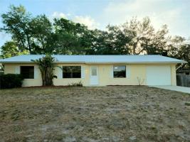 1807 SABAL PALM