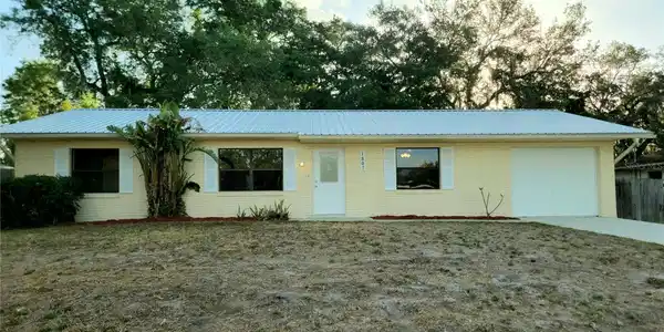 1807 SABAL PALM