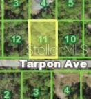 1675 TARPON