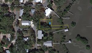 12408 LIVE OAK