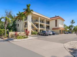1650 PINE TREE