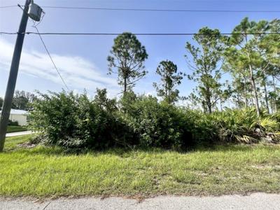 27342 CHINQUAPIN