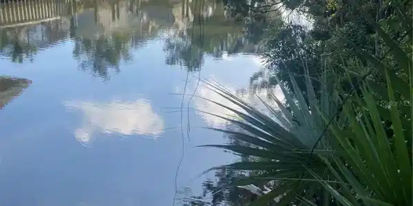 133 HAZELWOOD RIVER