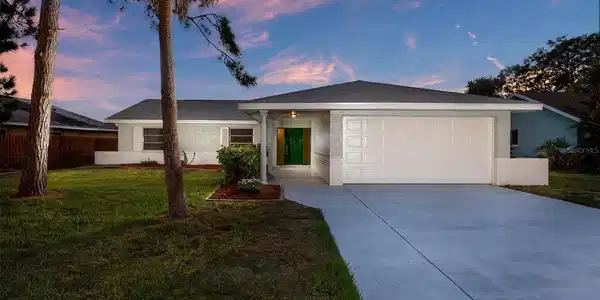 6515 SOLITAIRE PALM