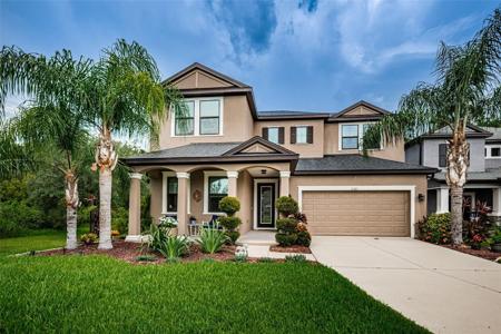 11321 LAZY HICKORY