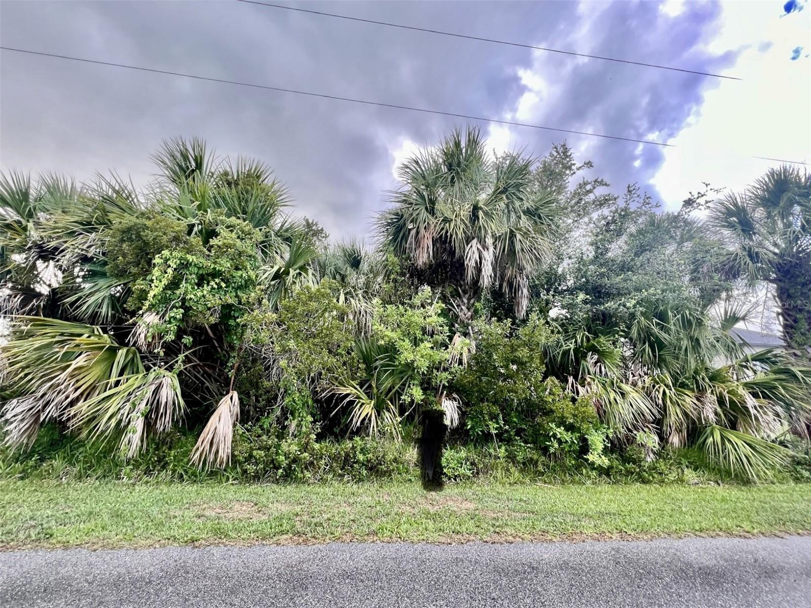 Image 1 Image 1