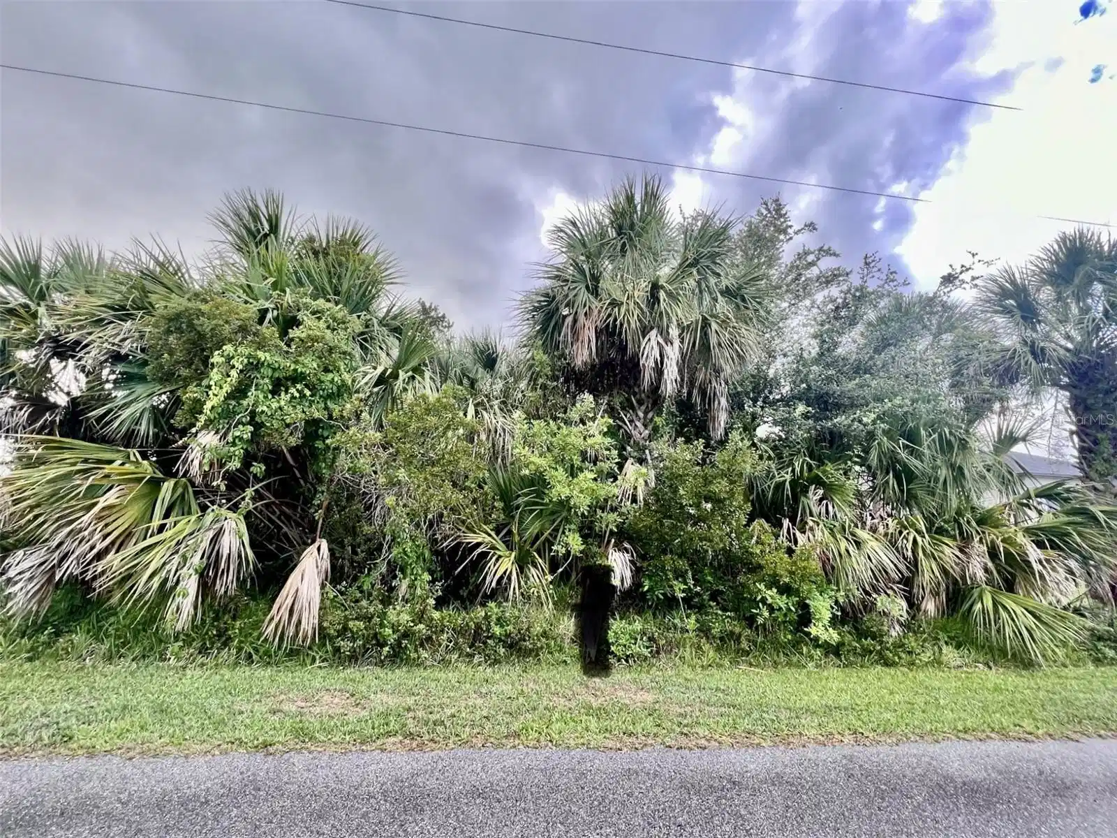 Image 1 Image 1