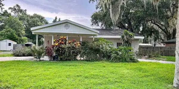1851 ORANGE TREE