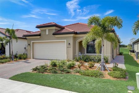 24229 SPARTINA