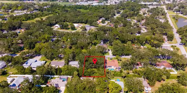 1518 ORANGE TREE