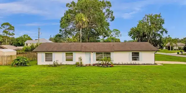 3003 PINE TREE