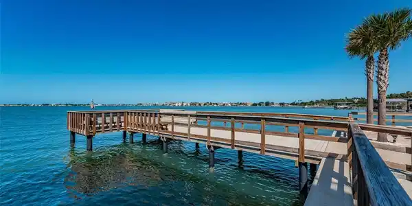 100 BLUFF VIEW DRIVE