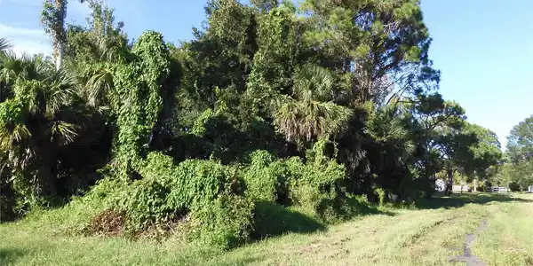 0 Woodland DRIVE