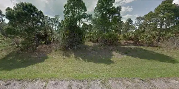 Image 4 Image 4