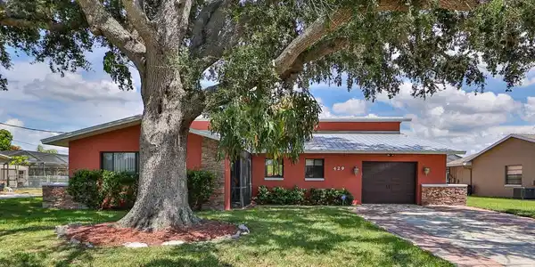 429 FLAMINGO