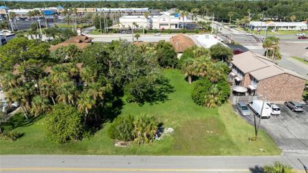 PALMETTO AVENUE