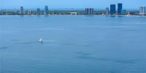 Image 4 Image 4