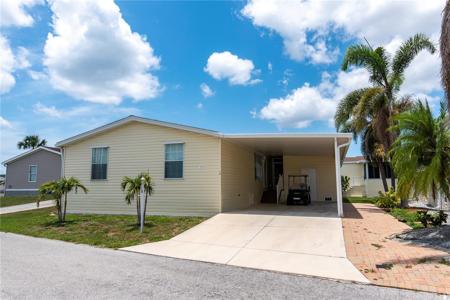 15 ALLIGATOR AVENUE