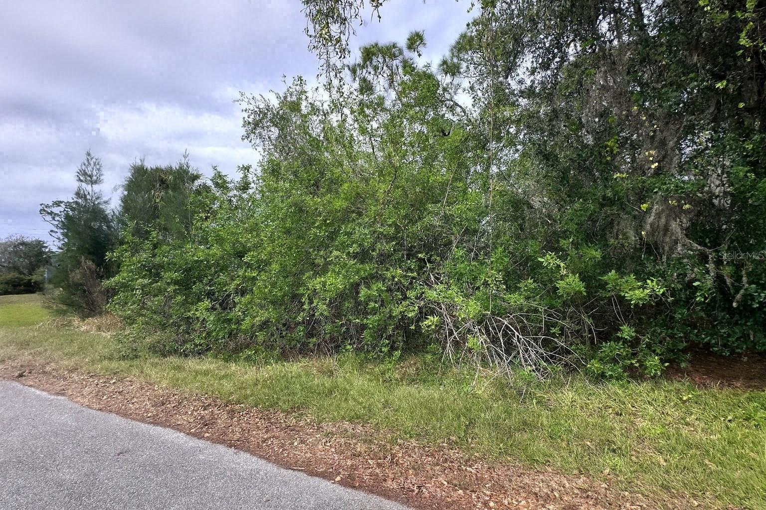 Image 1 Image 1