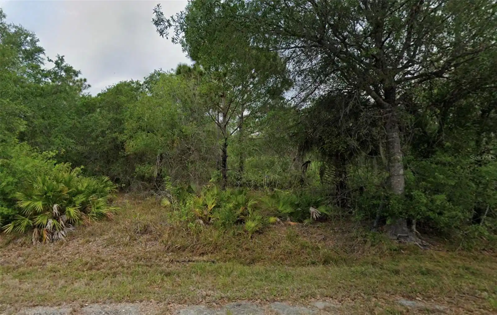 Image 1 Image 1