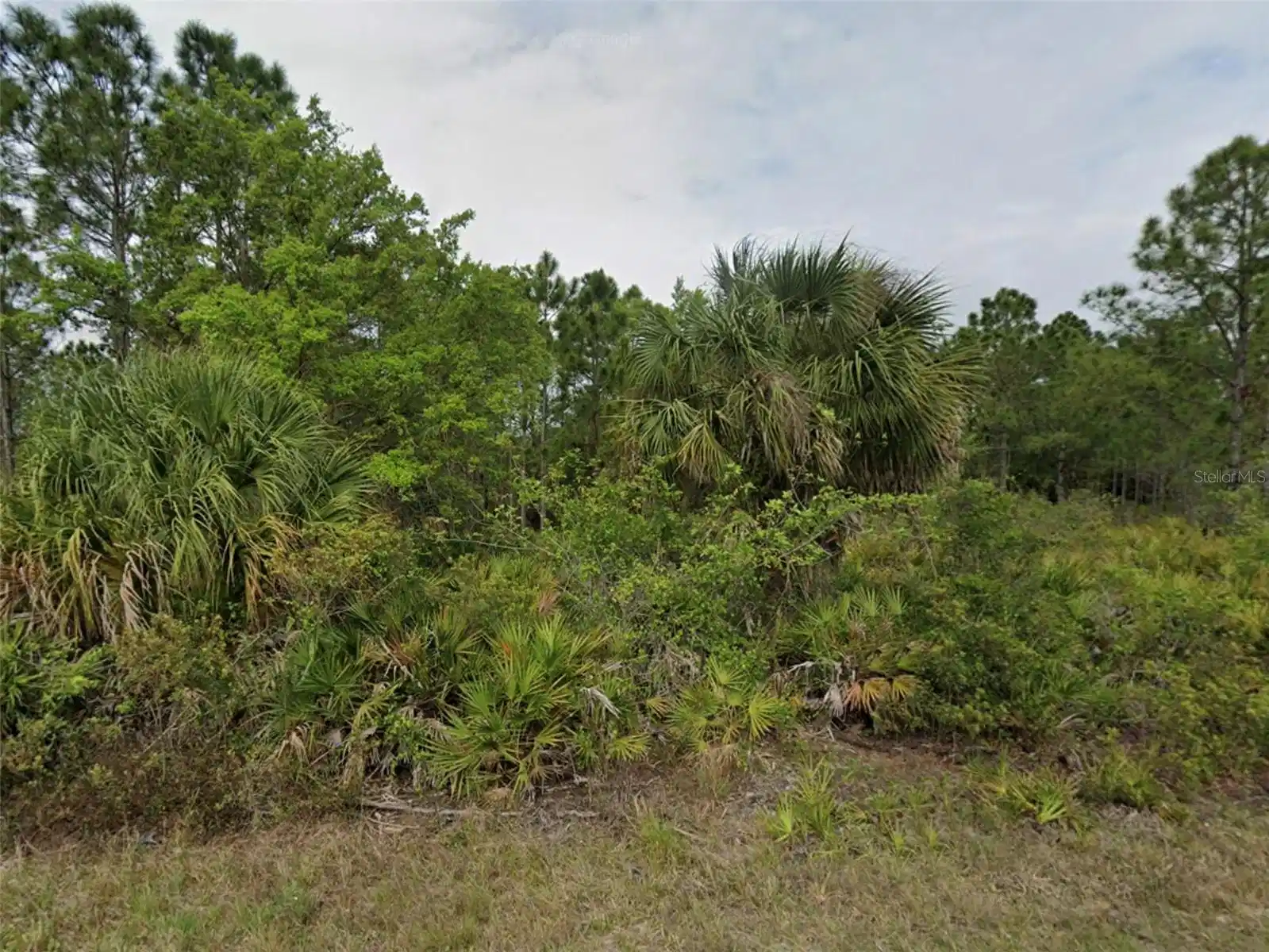 Image 1 Image 1