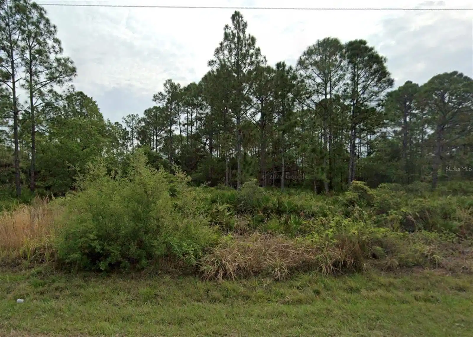 Image 1 Image 1