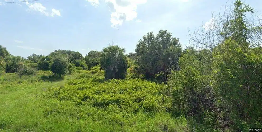 Image 1 Image 1