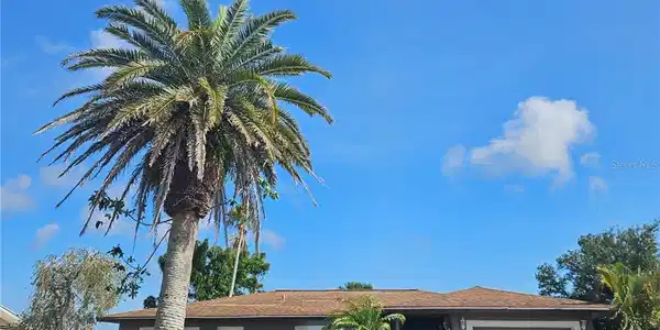 11 GOLFVIEW ROAD