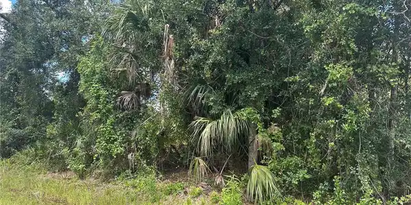 Image 3 Image 3