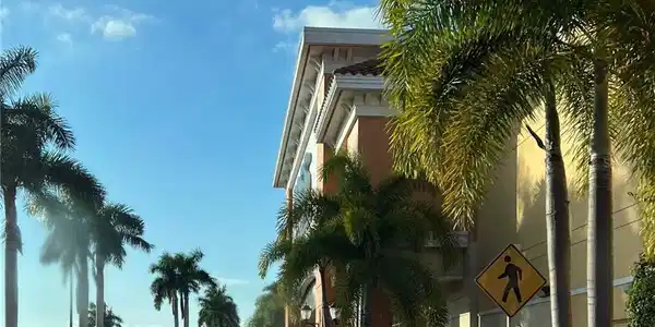 Image 3 Image 3