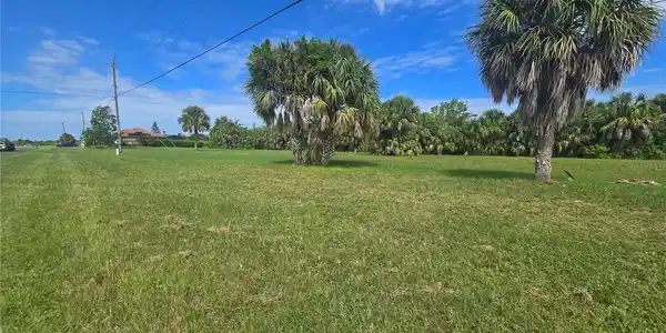 Image 4 Image 4