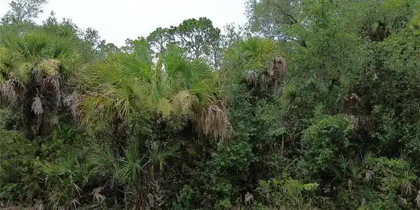 Image 4 Image 4