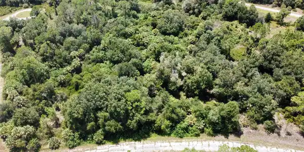 Image 4 Image 4