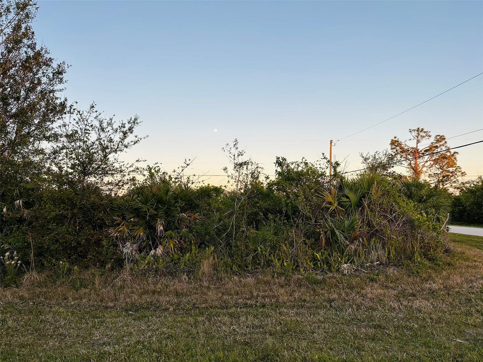 Image 4 Image 4