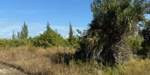 Image 3 Image 3