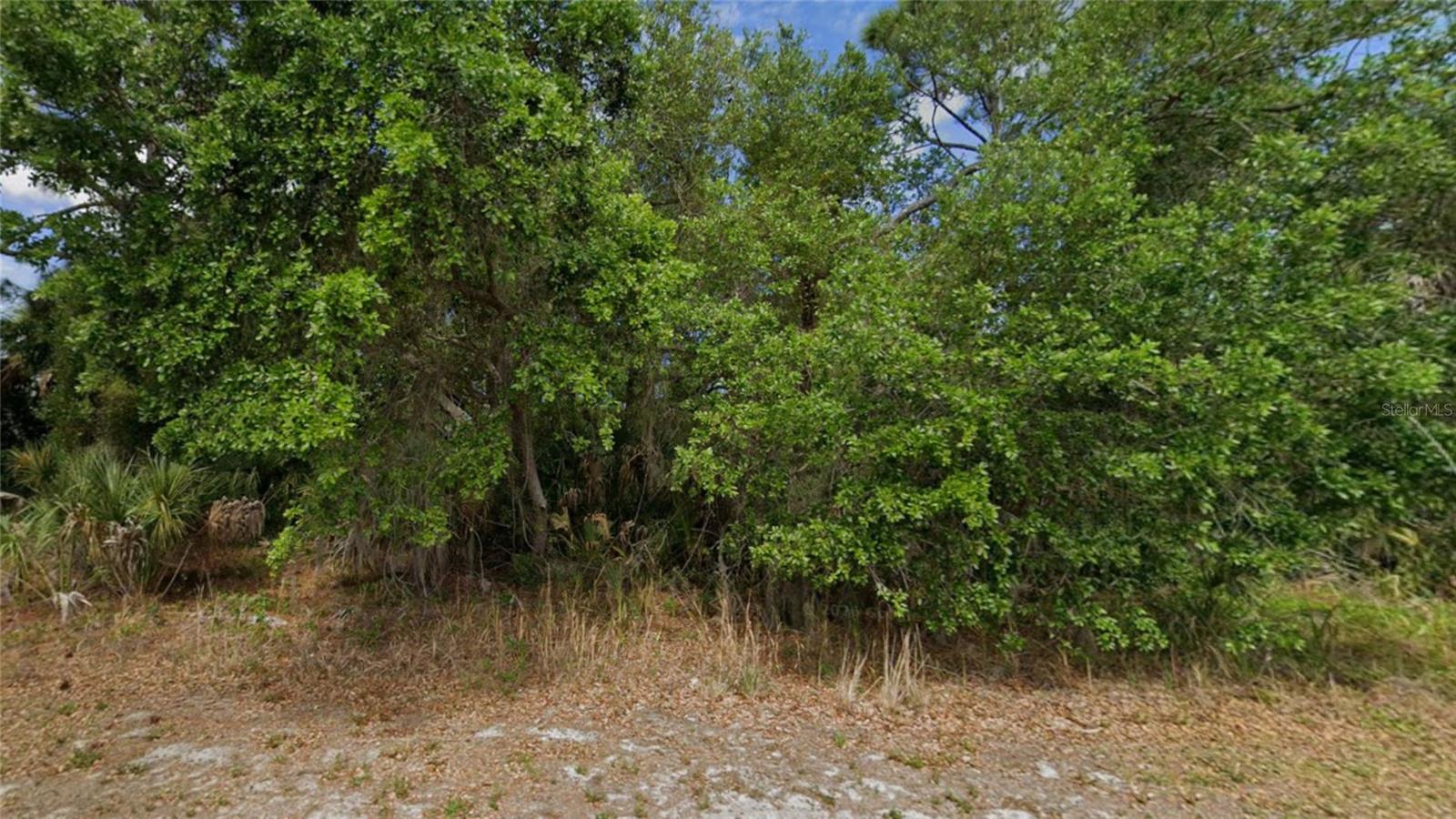 Image 4 Image 4