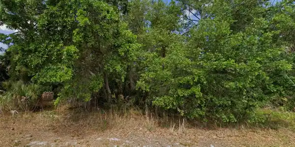 Image 4 Image 4