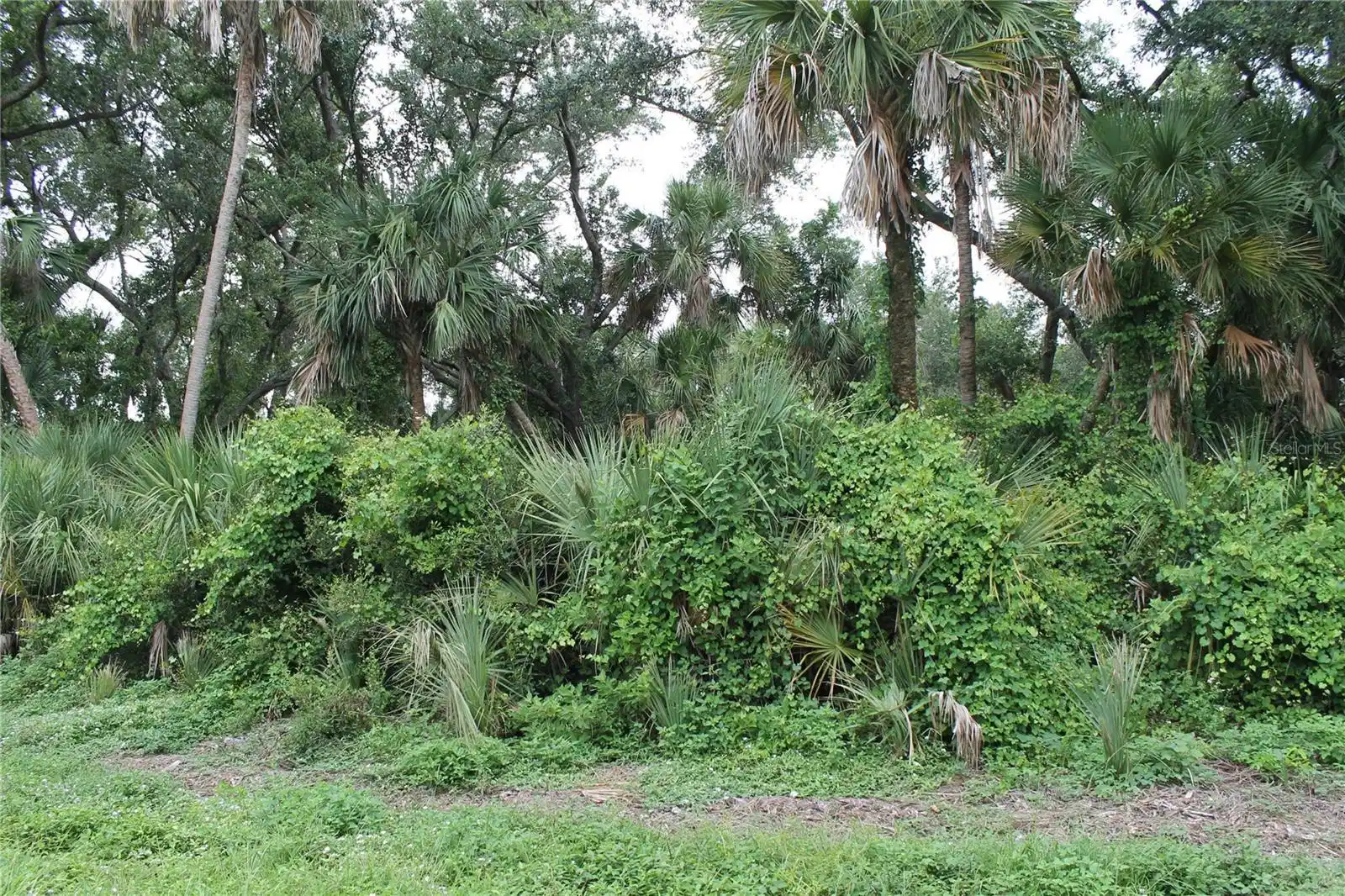 Image 1 Image 1