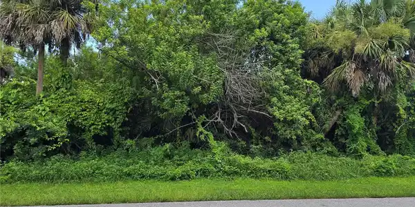 Image 4 Image 4