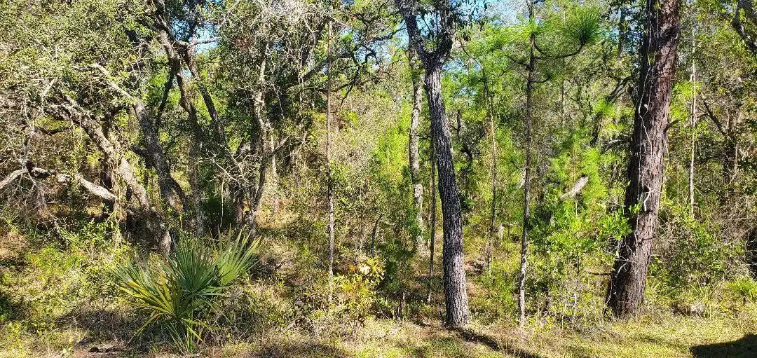 Image 1 Image 1