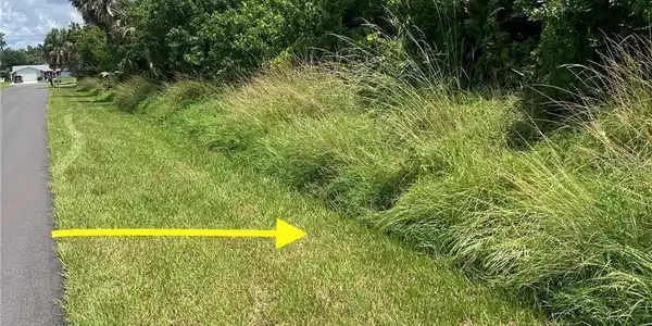 Image 4 Image 4