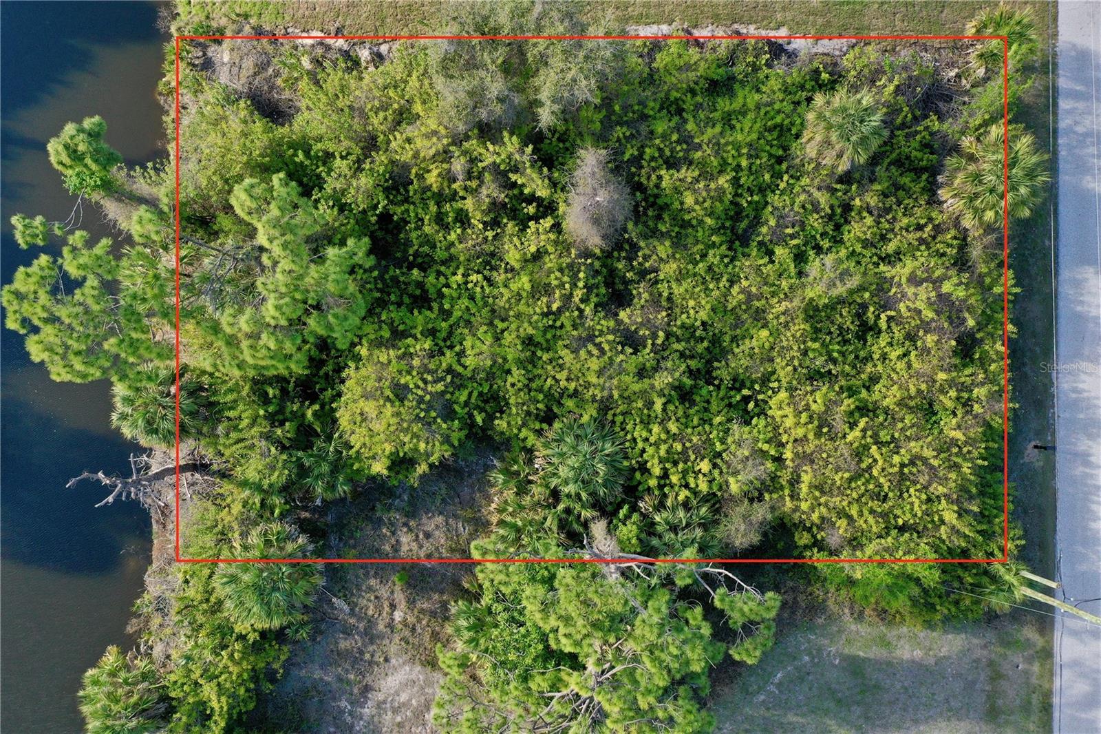 Image 4 Image 4