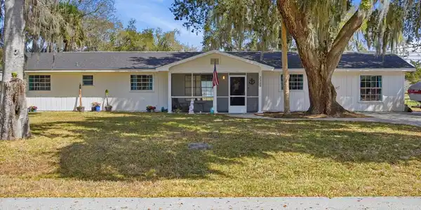 2329 LIME TREE