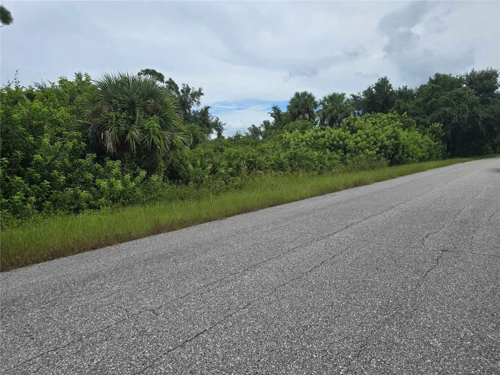 Image 1 Image 1