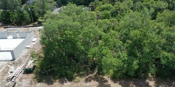 88 BAMBOO DRIVE
