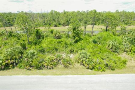 SAWYER CIRCLE