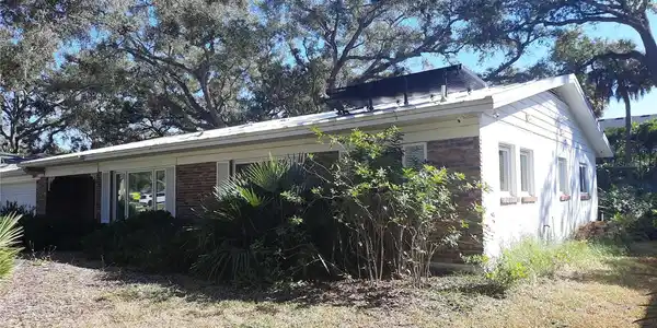 Image 4 Image 4