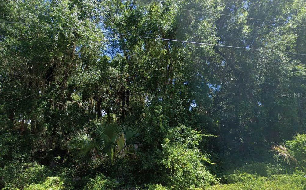 Image 1 Image 1